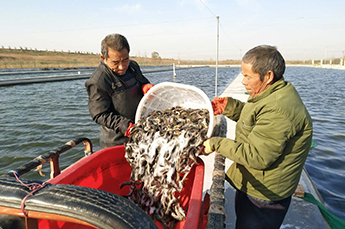 清洋湖：扩大生产规模 增加养殖面积 再添新助力