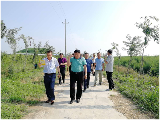 项目建设新创举 整体规划大提升 中国农科院特产研究所副所长李滋睿一行到清洋湖来考察