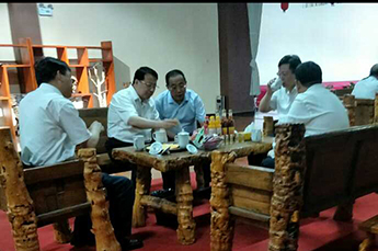 山东省委副书记、省长龚正莅临恒运能源集团旗下农业产业百枣...